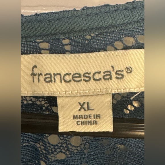 FRANCESCA’S Tori Blue lace shift dress - Picture 5 of 6